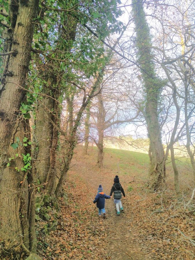 Gite Au Coeur Du Parc Naturel Regional Du Pilat Pélussin 외부 사진